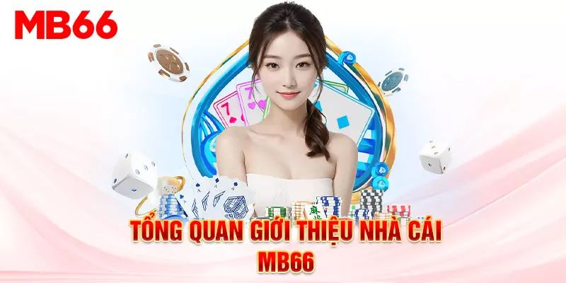 Đôi nét về sân chơi cá cược hấp dẫn này